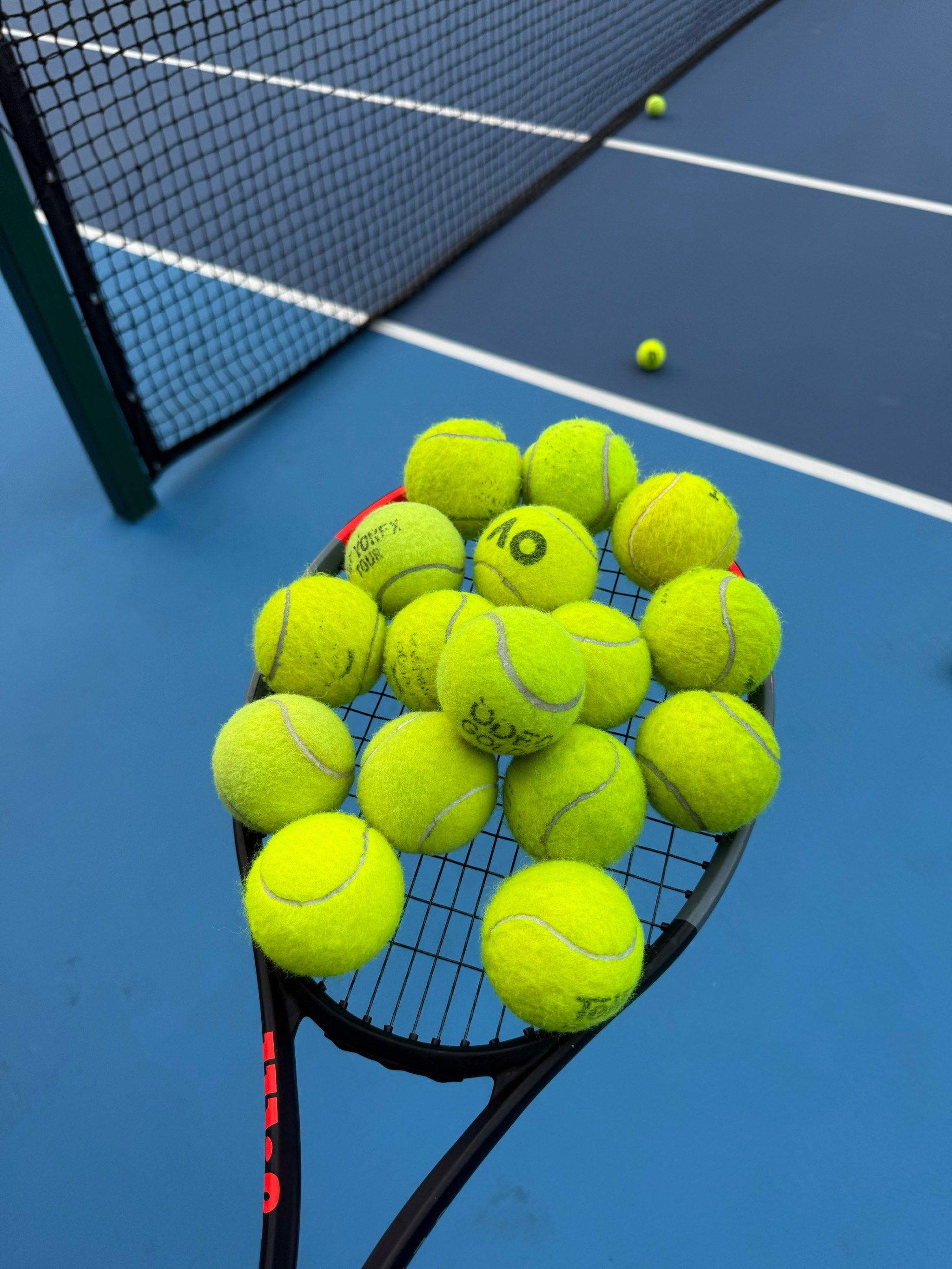 颈期盼的全 颈期盼的全