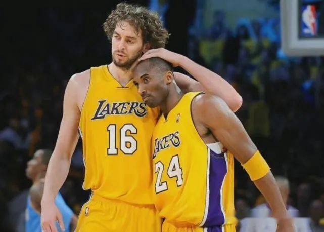 的一些豪门 的一些豪门