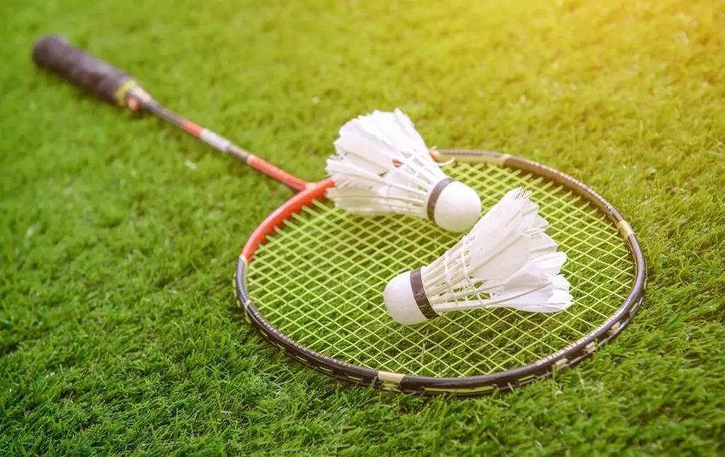 稳步发展 稳步发展