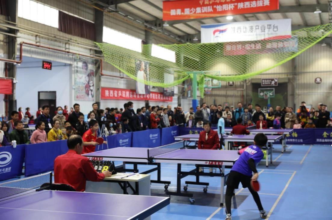 的联盟中 的联盟中