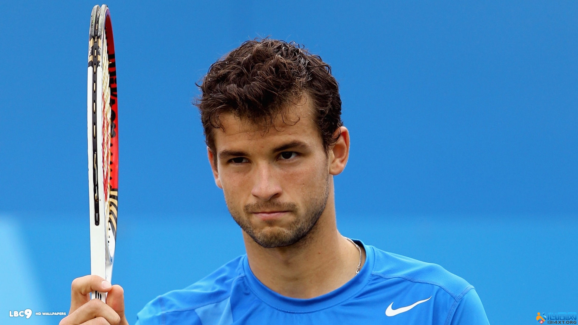 更重视体系 更重视体系